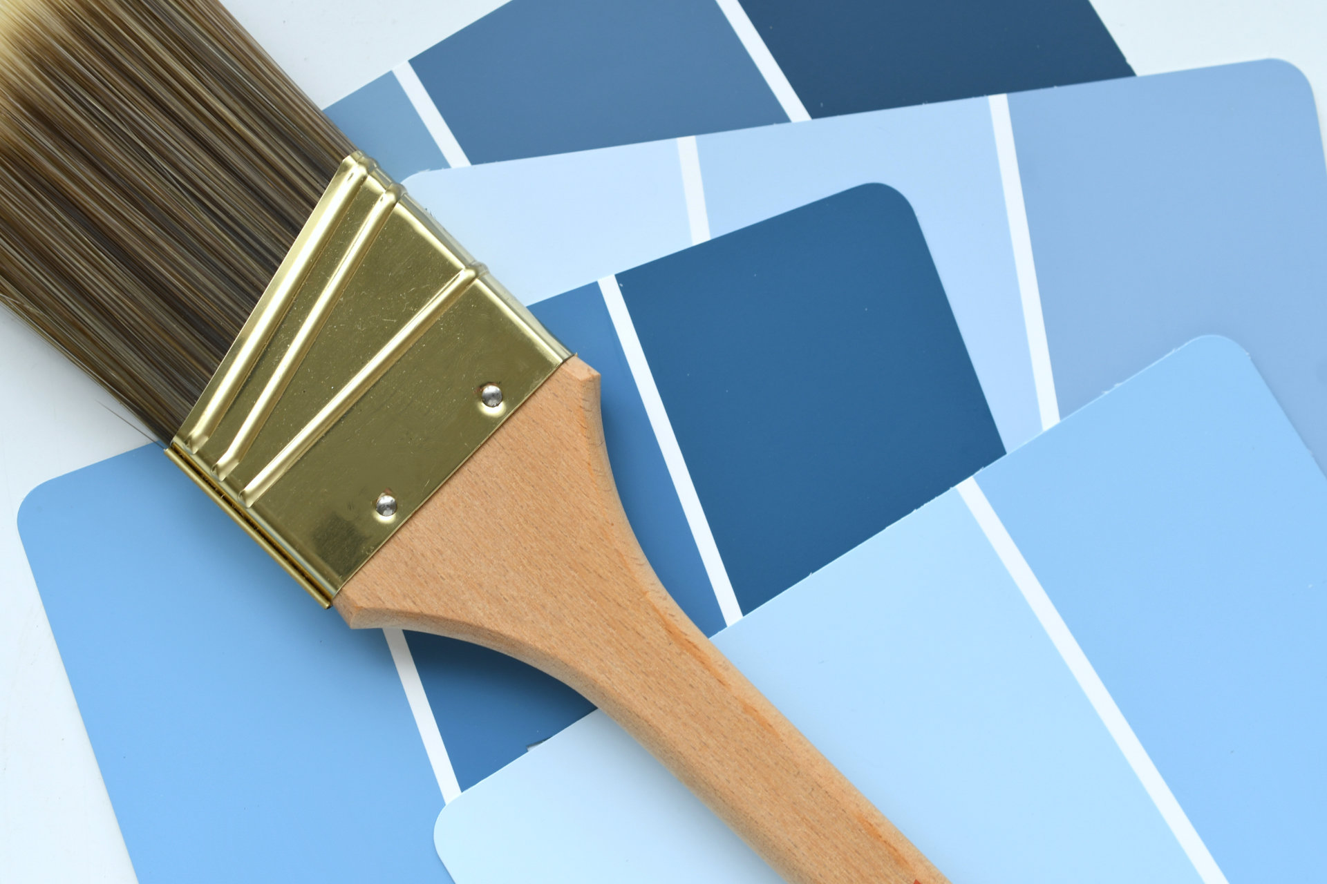 Raum-Loidl Referenzen - Malerei, Pinsel